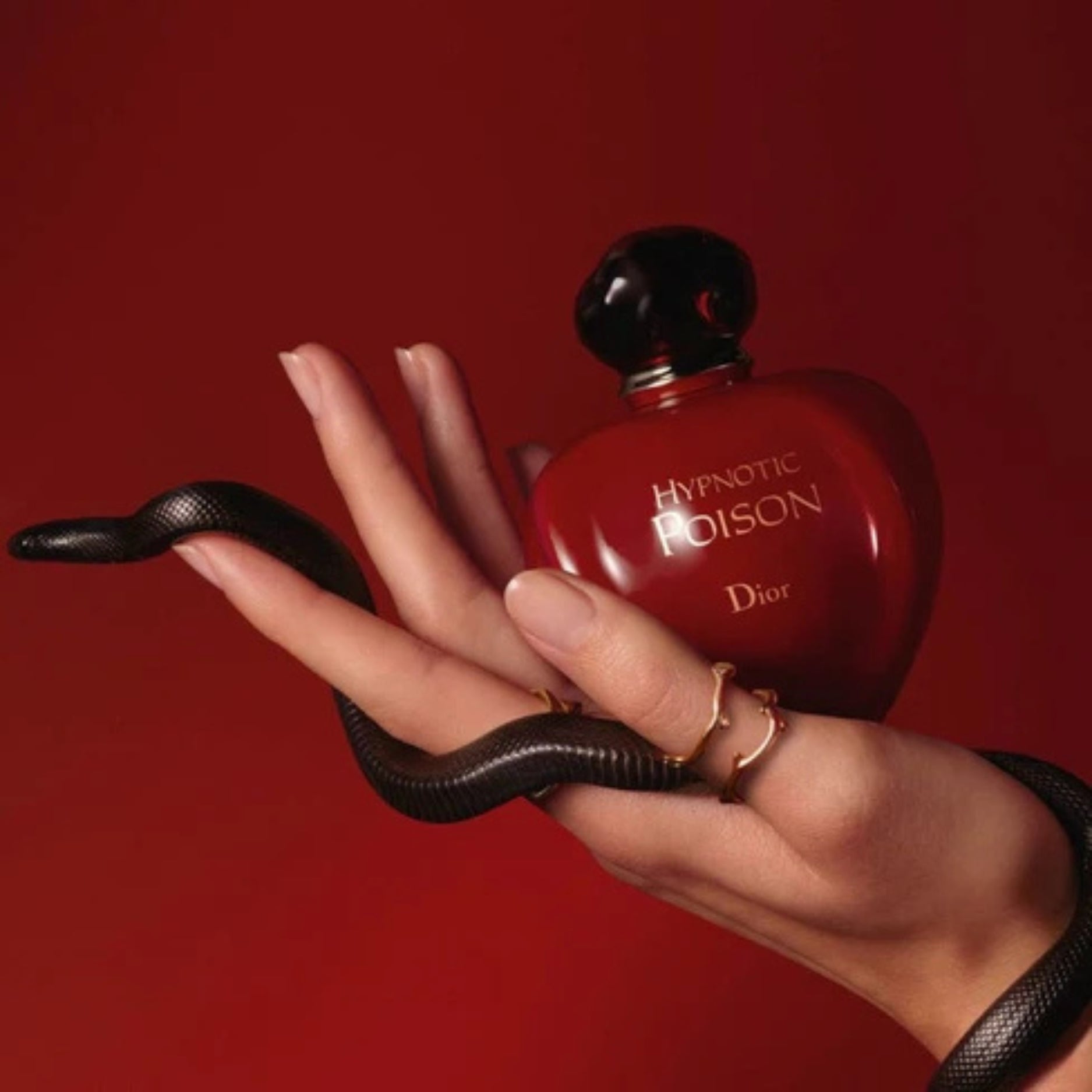 DIOR POISON Hypnotic Poison Eau De Toilette 100ml